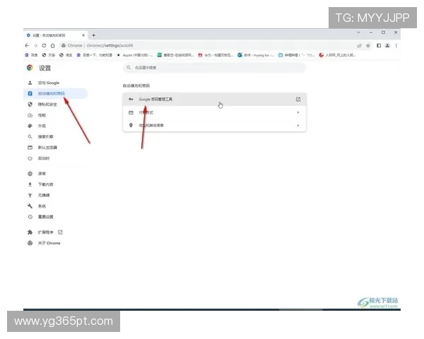 365登录官网登录流程详解，确保每次登录都安全顺畅
