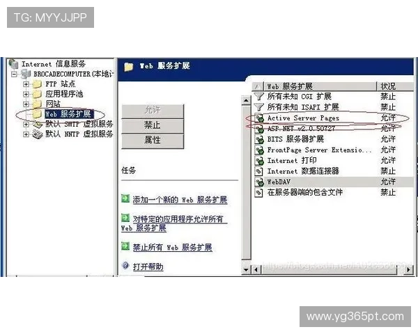 kingbet网址登录线路常见问题解决方案及多线路备用方法推荐 kingbet网址登录线路常见问题解决方案及多线路备用方法推荐