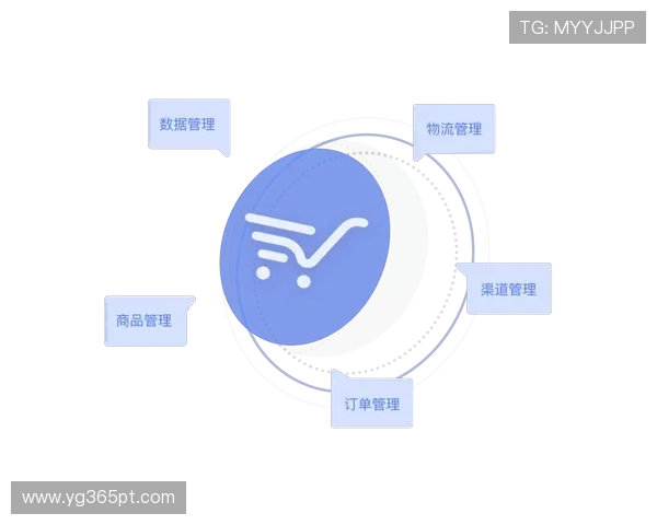 winwin国际版提供全方位支持助力企业实现多渠道多平台发展
