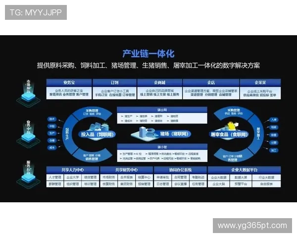 winwin网站：为中小企业开启全新合作机会，助力业务增长和资源共享的优质平台