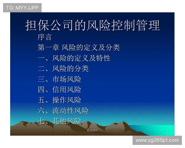 体育担保网如何应对体育行业的资金风险挑战,提供专业的风险管理方案